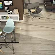 1317 Porcelanite Dos