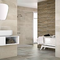 2217 Porcelanite Dos