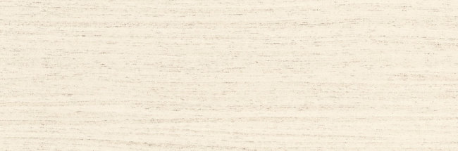 Плитка (300x100) EG7KK45 PolarPlus