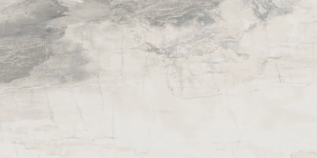 Плитка (30x60) PO310 PetrifiedWoodWhite
