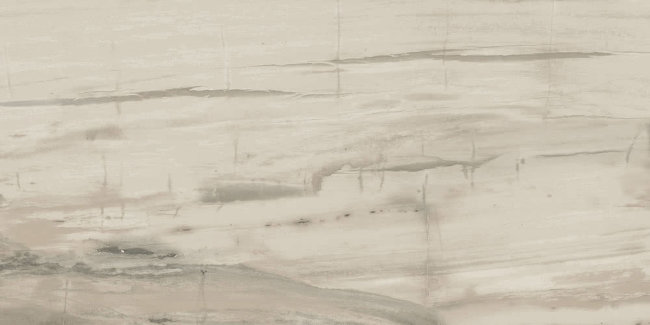 Плитка (30x60) PO320 PetrifiedWoodBeige