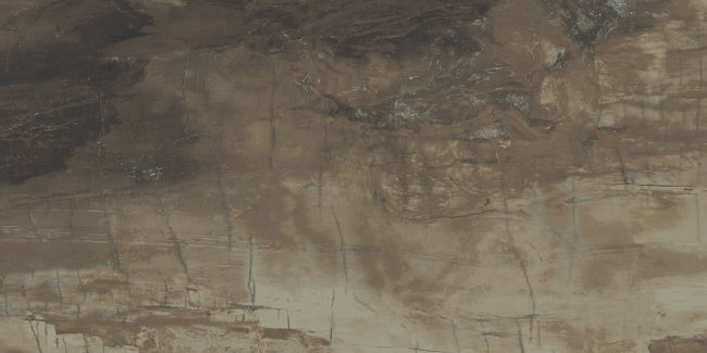 Плитка (30x60) PO360 PetrifiedWoodBrown