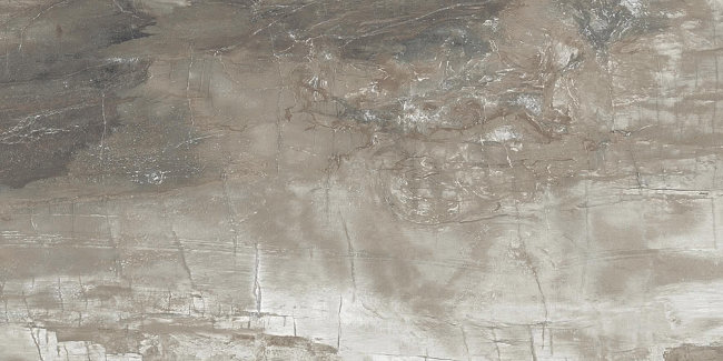 Плитка (30x60) PO390 PetrifiedWoodMusk