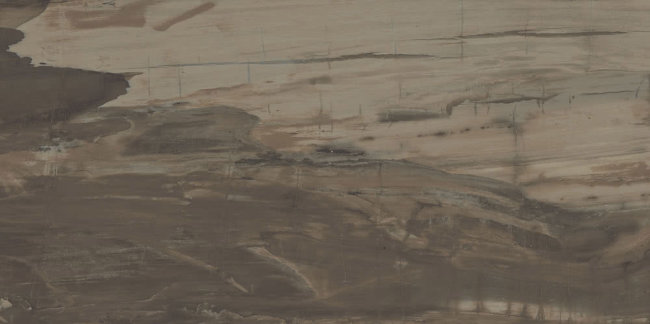 Плитка (49.6x99.5) PO160RL PetrifiedWoodBrownRett/Lapp