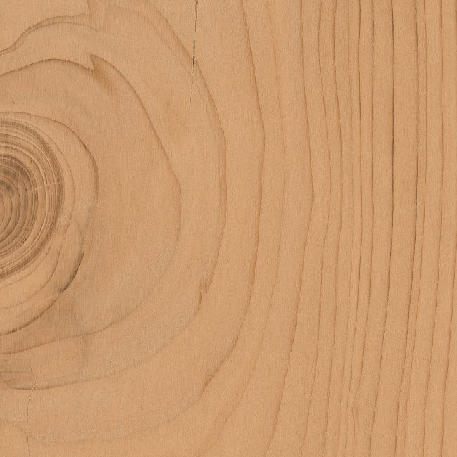 Плитка (20x20) D764 ESN.CEDAR 20