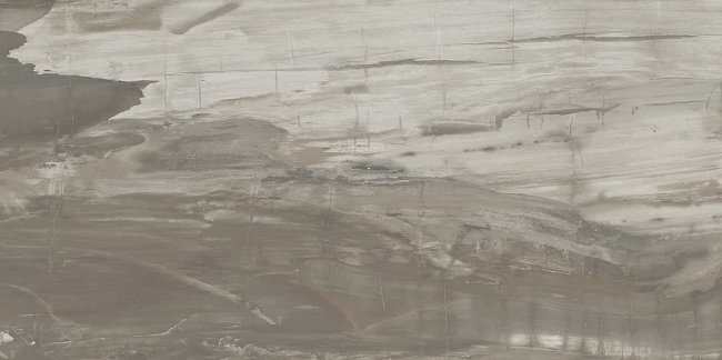 Плитка (49.6x99.5) PO190RL PetrifiedWoodMuskRett/Lapp