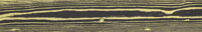 Плитка (20x120) CUOFM4-20C010GI-BN BlackNegativeGiallo