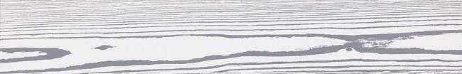 Плитка (20x120) CUOFM4-20C010GR-WN WhiteNegativeGrigio