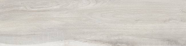 Плитка (30x120) J86484 EverFogRet