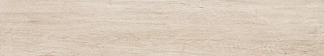 Плитка (20x120) 7648445 ALPI Bianco Rett. mate 20X120