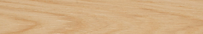 Плитка (10x60) BGRAR10 Cloe
