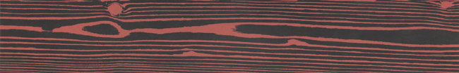 Плитка (20x120) CUOFM4-20C010RS-BN BlackNegativeRosso