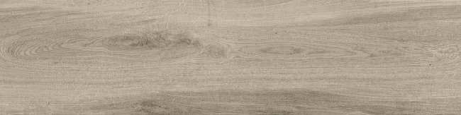 Плитка (20x80) CAQ28R4 Cirrus