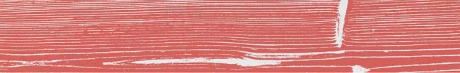 Плитка (20x120) CUOFM4-20C010RS-WP WhitePositiveRosso