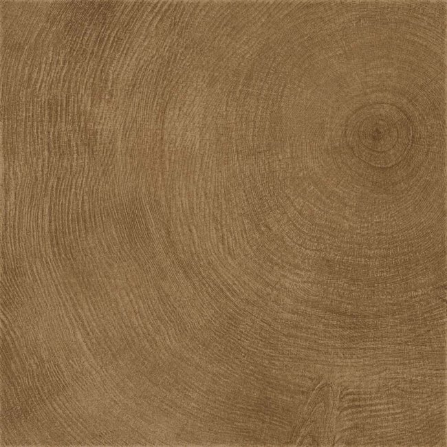 Плитка (60x60) 60656R RingMarroneRettificato