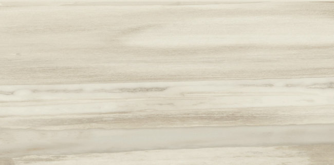 Плитка (44.4x89) 938D0P CoreWhiteLionLappL