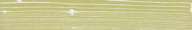 Плитка (20x120) CUOFM4-20C010VE1-WP WhitePositiveVerde1