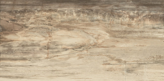 Плитка (44.4x89) 938D1P CoreBeigeTigerLappl
