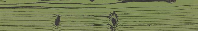 Плитка (20x120) CUOFM4-20C010VE2-BP BlackPositiveVerde2