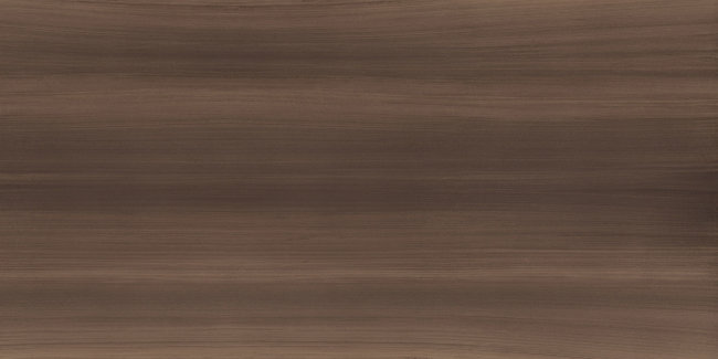 Плитка (120x240) KOALA6 240BS RM