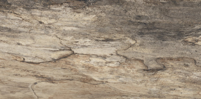 Плитка (45x90) 944D1R BeigeBarkRettL