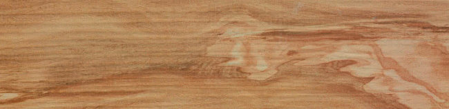 Плитка (22.5x90) AJ8E EticUlivo