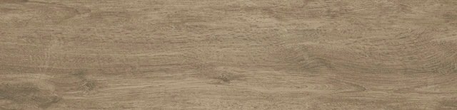 Плитка (24.6x101) FVUT6E6FR1 Forest