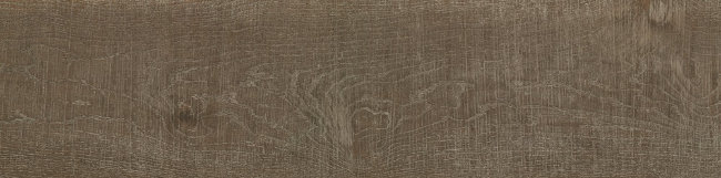 Плитка (100x24.8) GJL4400C Ardennes Castano