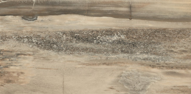 Плитка (45x90) 948D1R CoreBeigeTigerRettL