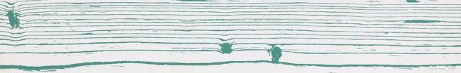 Плитка (20x120) CUOFM4-20C010VE3-WN WhiteNegativeVerde3