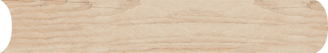Плитка (19.8x121) 9G16 EssentialNutRetConvexRet