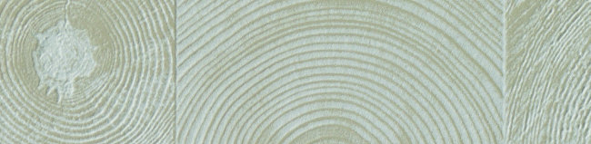 Плитка (5.8x23.8) 760085 MurettoArbreIvory
