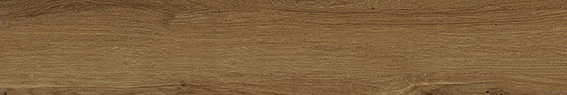 Плитка  20x120  Treverklife walnut rt MQYP