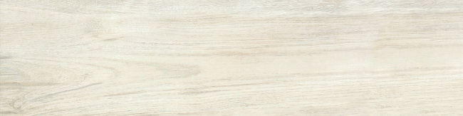 Плитка (30x120) FI10