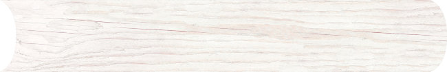 Плитка (19.8x121) 9G15 EssentialWhiteRetConvexRet
